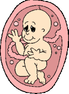 fb6a7b76177a3f2f42632d3ae9027f1a.gif