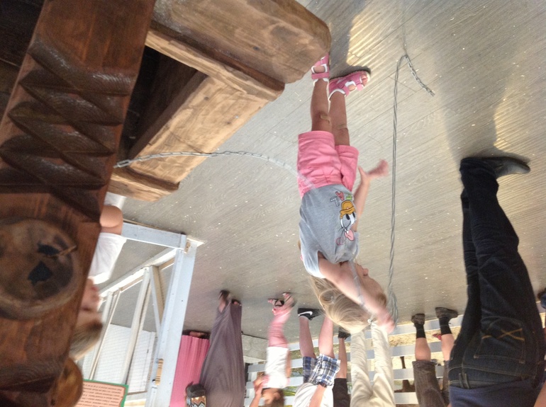 ca63a25b156cd404ee77c50c1f8381f6.jpg