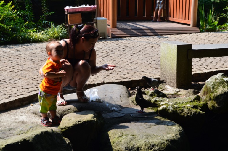 e195d792ac000528f26450b0d5b3a930.jpg