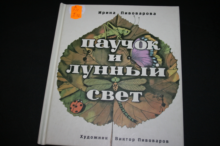 089f314ec20c5b0dc0ff274a6feb5645.jpg