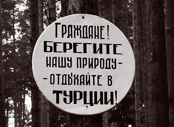 76e31bc8b0d572fe96a21cce9bee5208.jpg