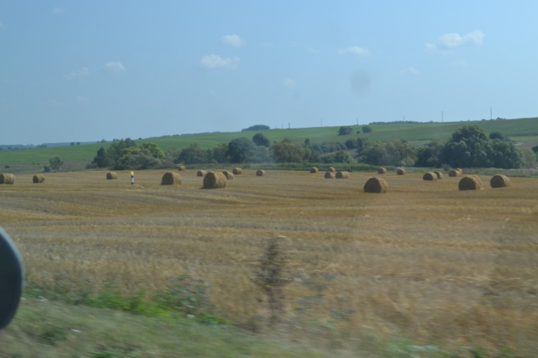 1b7102e11eea17ac000455993ffd8b77.jpg