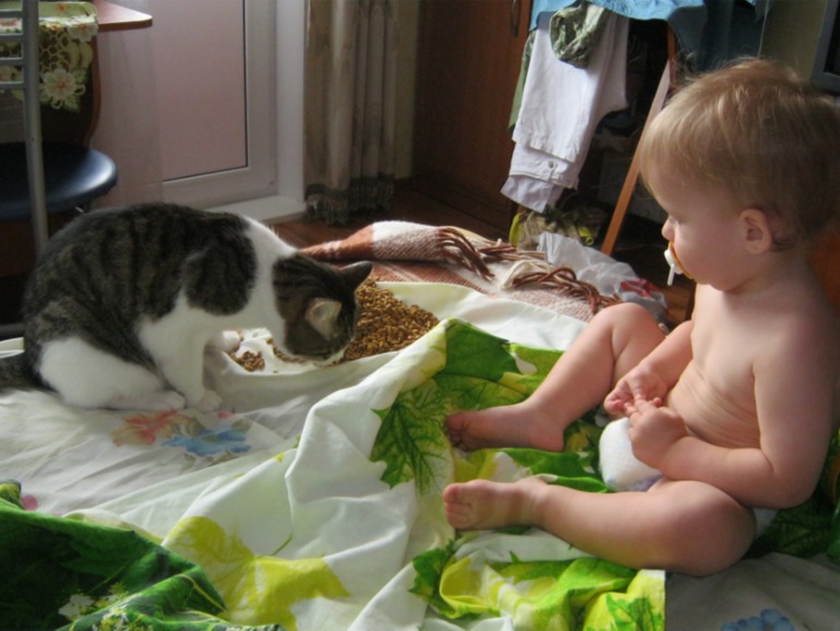 9391071c7be52cbbea2fdaf0f4df632b.jpg