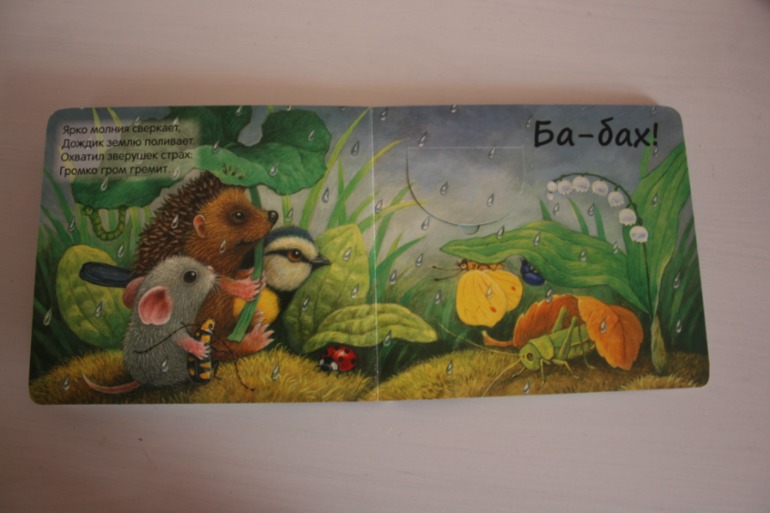Книжки с кармашками