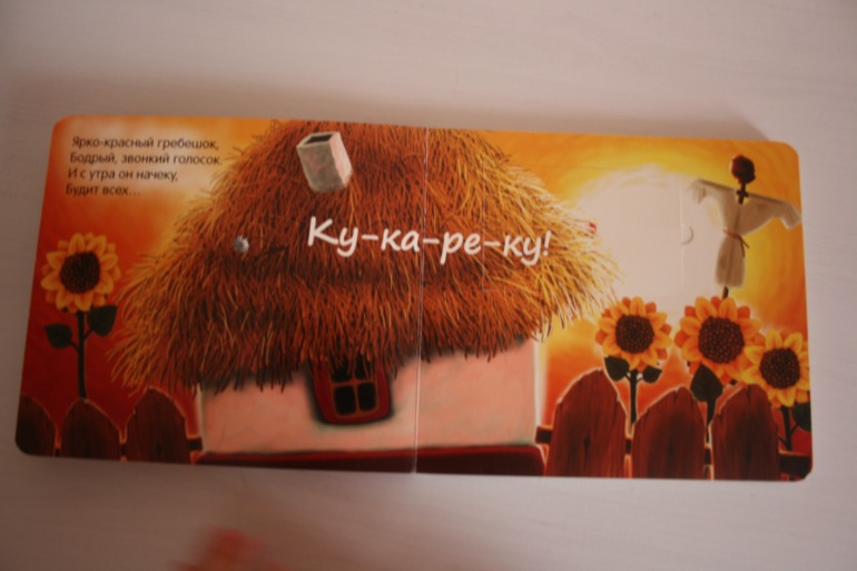 Книжки с кармашками