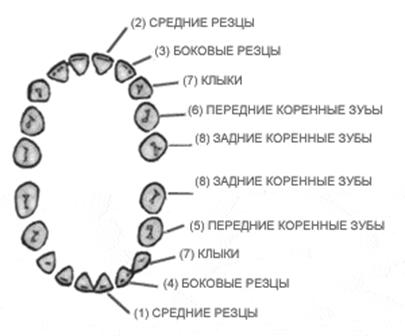 e092c40aefec3ddb9ac6017503e6decf.jpg