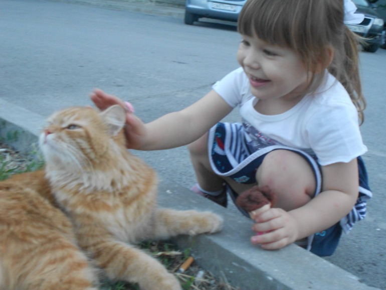 83b19d5884756022933cb33c8eb2282d.jpg