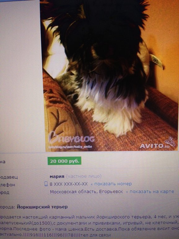 хотите прикол???