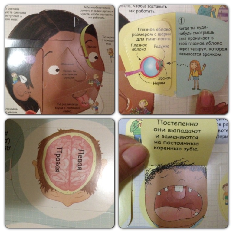 be591cd468f03984e96386b6d0dc5528.jpg