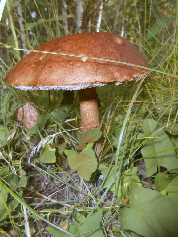 c6f0add3691bb63886f5ac0f1a328a3d.jpg