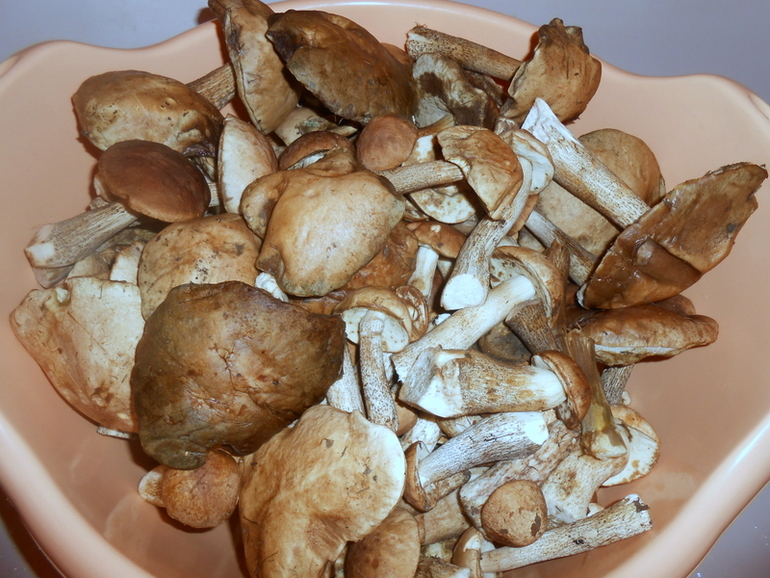 baba70114450cf07caa6d97869c7a965.jpg