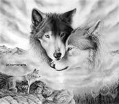 b0cbed274aee4c380406b522ed5ff947.jpg
