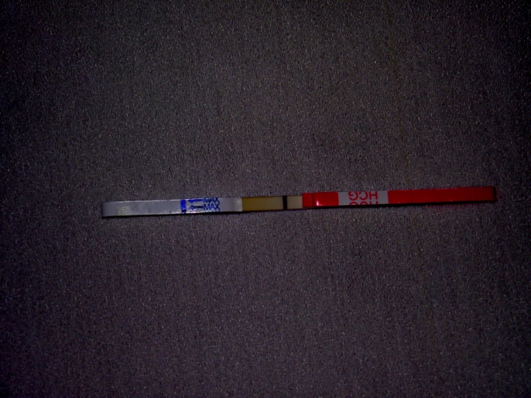 c1679b79e8e8d8495acdcf768c356345.jpg