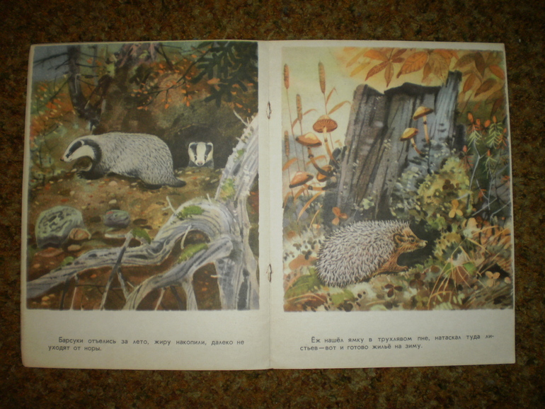 Главная осенняя книга