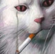 Белая Агония