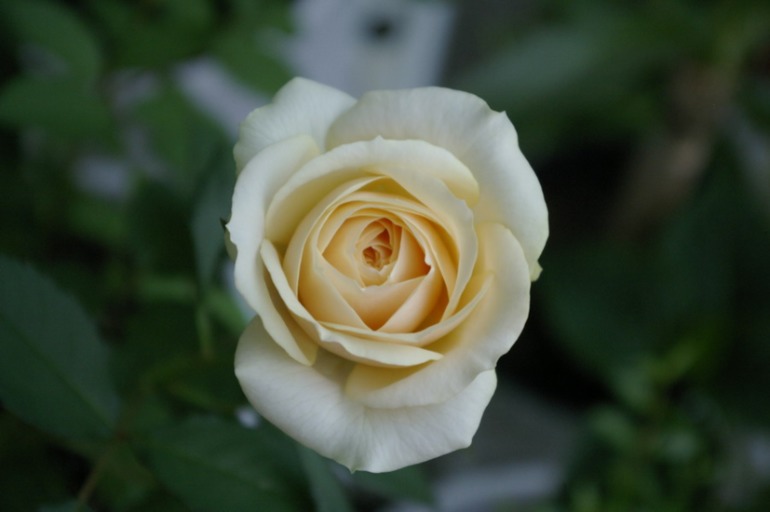14210be19043fce5298fad7a92eb30d7.jpg