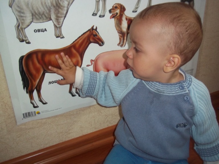 a31d6404d4d21d345b01caa529fda06f.jpg