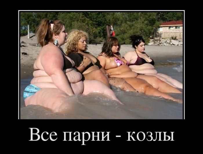 0d1c88ce3b900fa12d6a4d4ae4c9c54c.jpg
