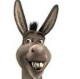 Donkey