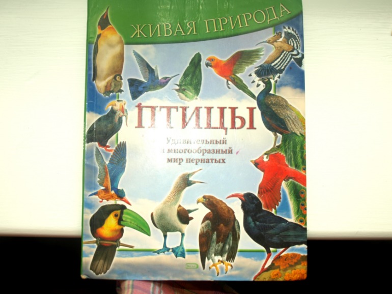 ТН