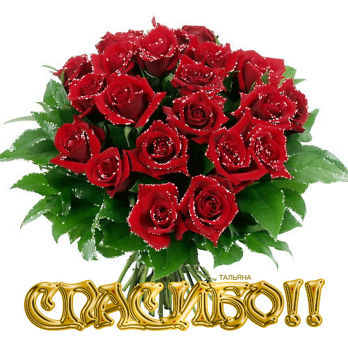 cee2ca8e94e0dc1d34aa1ea1d5bb6fac.gif