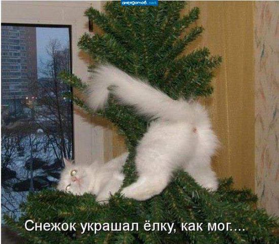 Когда работать лень, мне всегда весело)))