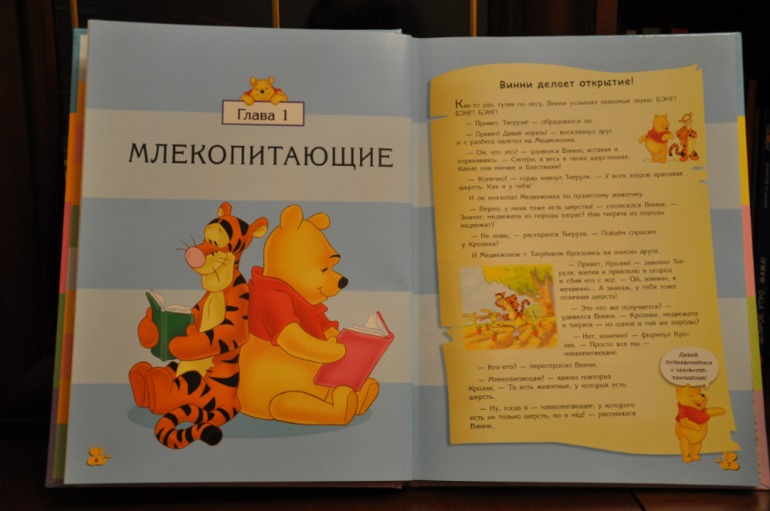 40c442b42e2569de71f481b84e32cb47.jpg