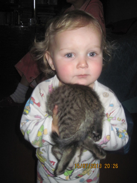 bb86898c86cb7396b4058bb1389ab507.jpg