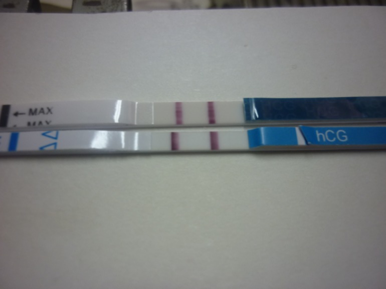 1ea68ee8dae0893f49faedc03ca0fda2.jpg