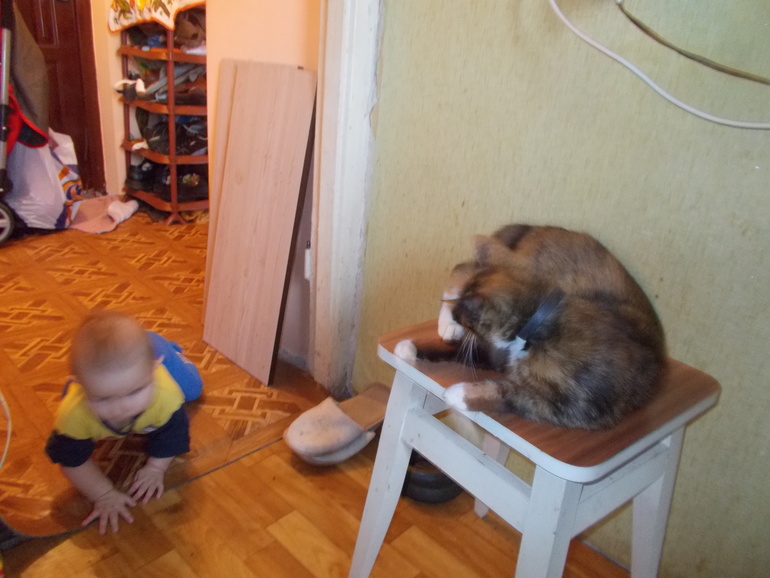 8d6078def0e1a178e662cbce9755f6d4.jpg