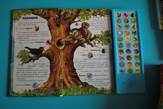 Наши книжки игрушки для самых маленьких