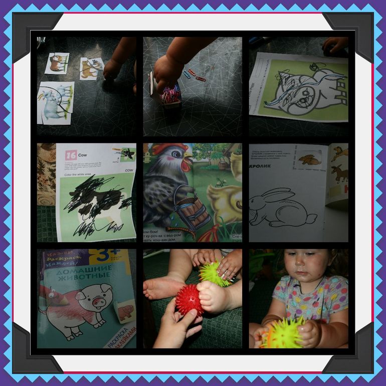 be581ccd3e0eea9596cc8c3864edf5c2.jpg