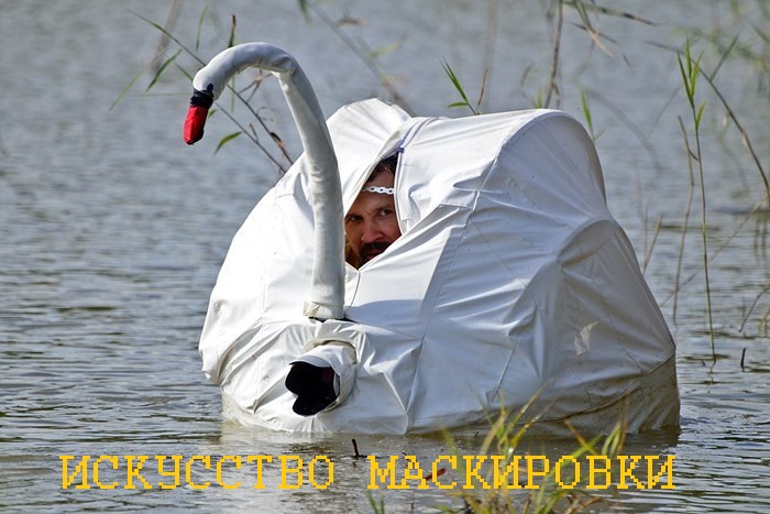 bb363638014f892850e9d8fa6c6795e5.jpg