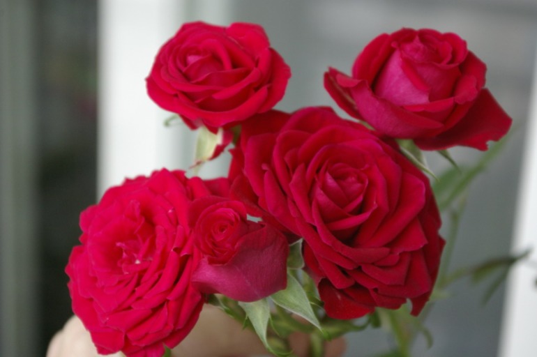 f6ddb2df3275d79df78deb9530dc5662.jpg