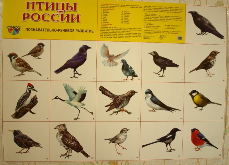 ТН