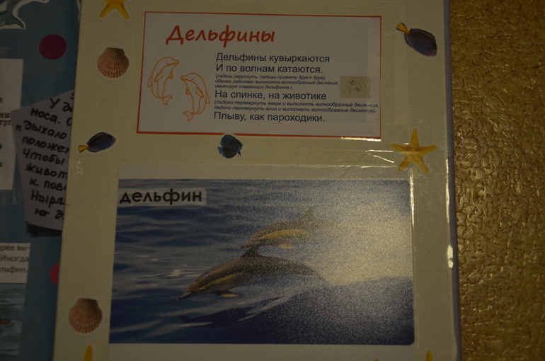 ce1c48c1cf9dbfe7b9a501db1d9642c9.jpg