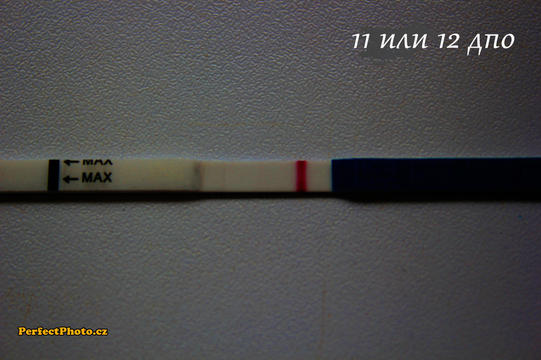 ad3e24f5017127dc027443a07b404066.jpg
