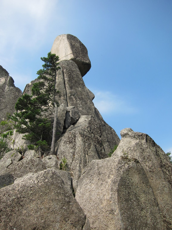 40fe33cf65e9b98d6bb61f0b9c6fed37.jpg