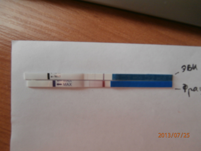 d9819838ec1c798fa25cc5aa46271041.jpg