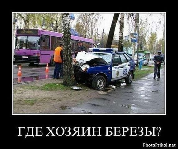 для настроения (много под катом)