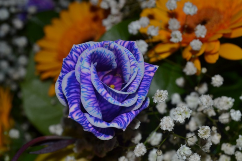 a4aa7b8f96cd015462aeca364586cd73.jpg