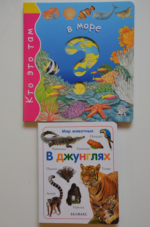 0e98ab36efccc18b4dfb9a886e64a81a.jpg