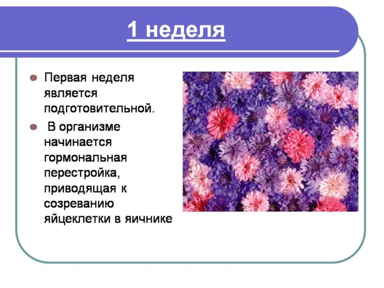 Немного о Б....Моя презентация о прекрасном мгновении в жизни женщины)