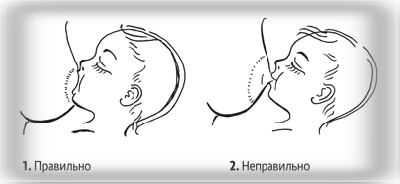 20e5e15d8ec97063946a0ac6464d2a4c.jpg