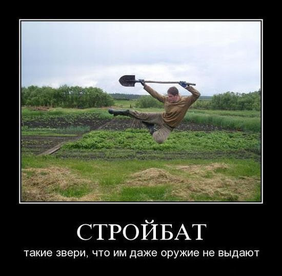b6612668d9ca8128da03750fdcf4ccee.jpg