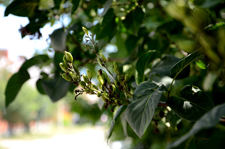 dd6b2e2556df8972ecb3104b15bf045b.jpg