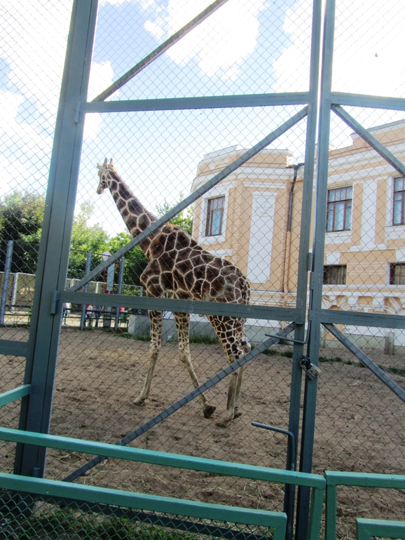 Moscow Zoo 19.06.2013
