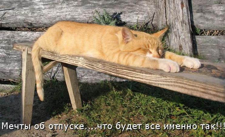 Отпуск