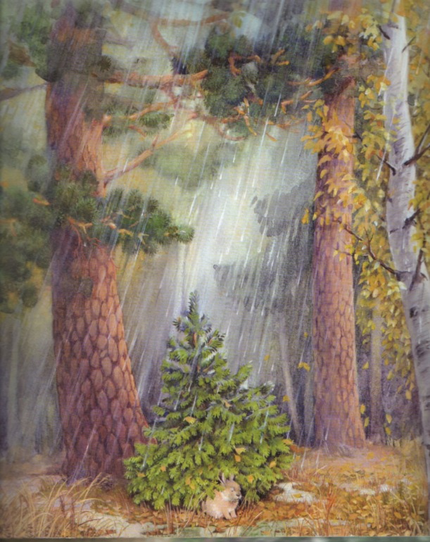 Наши осенние книжки