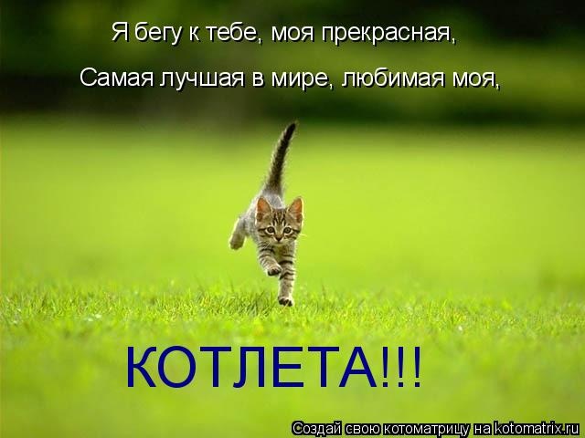 4a1236ef471b143f5574c5fc02e3604a.jpg